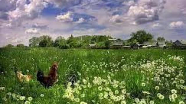 Я сегодня встану вновь до зари . ✨Лирическая песня о любви✨ смотреть онлайн