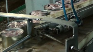 Работа плавзавода Всеволод Сибирцев