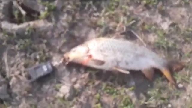 рыбалка с находкой река кигач. смотреть онлайн