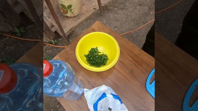 Веганские Рецепты