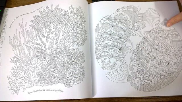 Colouring Book 'Animal Kingdom' Colouring Tips and Walk Through. смотреть онлайн