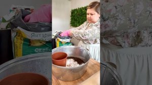 Сансевиерия. Составляем грунт для пересадки.