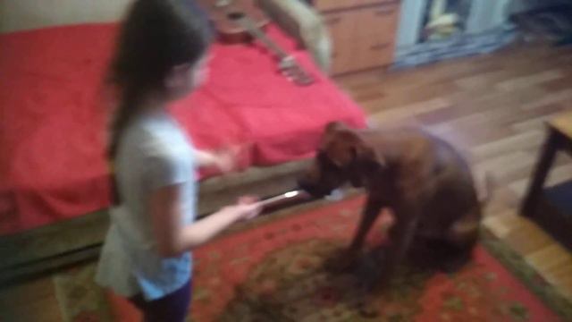 Александра и риджбек смотреть онлайн