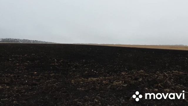 Утро Птички поют Жизнь в Деревне смотреть онлайн