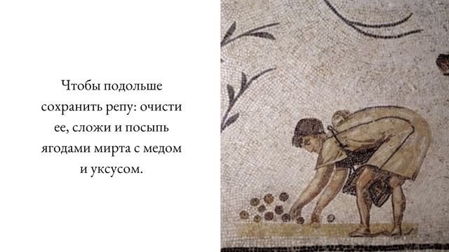 Как хранили продукты в Древнем Риме? Проверяем античный способ хранения мяса. смотреть онлайн