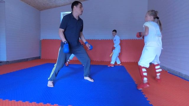 Отработка ударов на встречу, подсечки, домашняя тренировка каратэ WKF смотреть онлайн