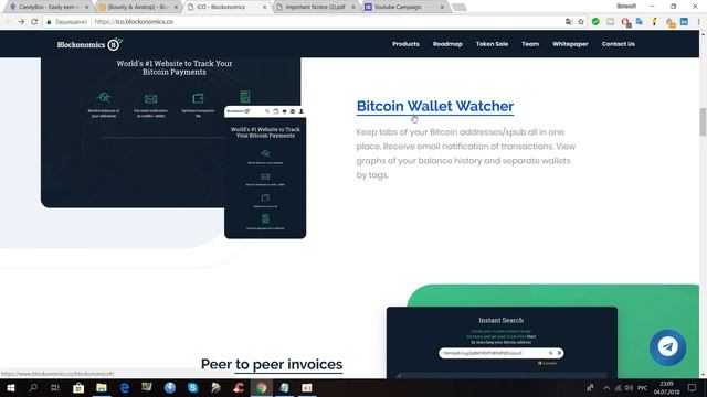 Blockonomics - децентрализованное платежное решение! Обзор ICO проекта! смотреть онлайн
