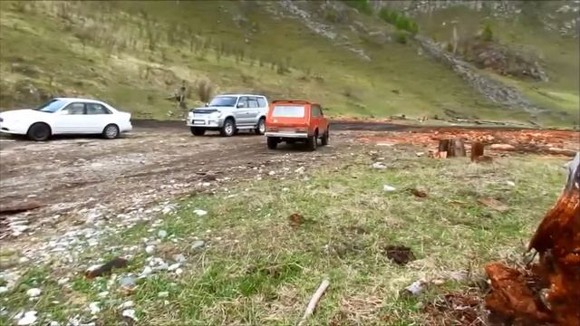 Горный Алтай. Часть 1. Цветение маральника. Чемал, Ороктой. смотреть онлайн