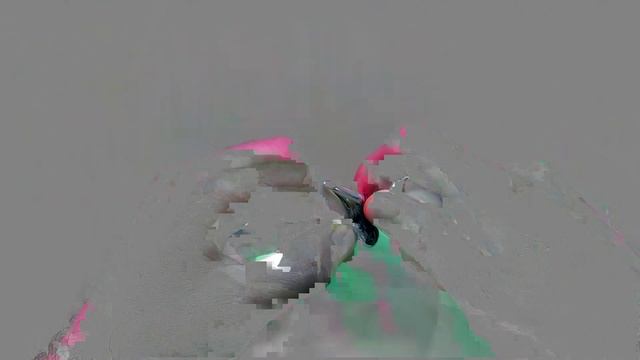 Pangolin Crochet Pattern || Amigurumi Step-By-Step Tutorial смотреть онлайн