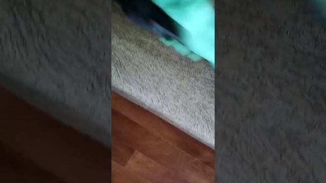 Процесс химчистки дивана смотреть онлайн