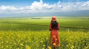 Ernesto Cortazar Best Collection 1