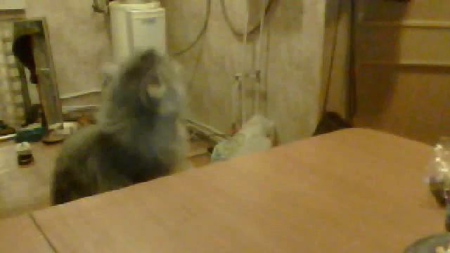 Видео с веб-камеры. Дата: 24 декабря 2012 г., 1:21. смотреть онлайн