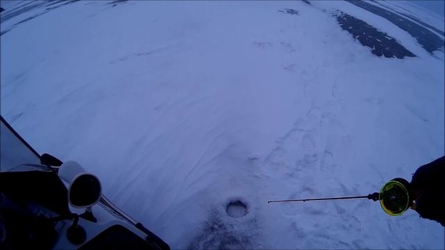 Окунь, Рыбинка, январь 2016г смотреть онлайн