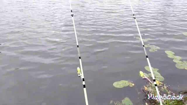 Рыбалка в середине сентября.Тот же пруд,и опять на теже грабли! смотреть онлайн