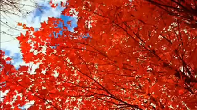 Elliott smith Everything Means Nothing To Me смотреть онлайн