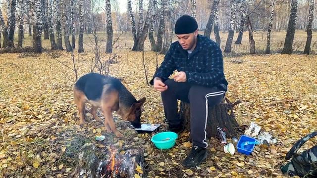 Одиночный поход в собакой || ГОТОВЛЮ смотреть онлайн