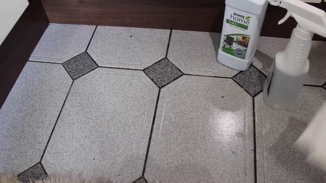 Amway Product Demos: Multi-Purpose Cleaner смотреть онлайн