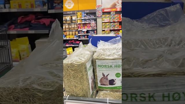 Норвегия ?поход в бюджетный магазин Европрис и рассказ про аптеку ? смотреть онлайн