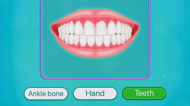 Human Body Parts for kids - Preschool Kids Learning game (14 games in 1) смотреть онлайн