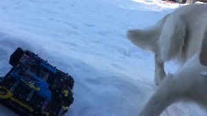 Гусеничный вездеход Лего Техник 42095 на максималках / LEGO TECHNIC модернизация