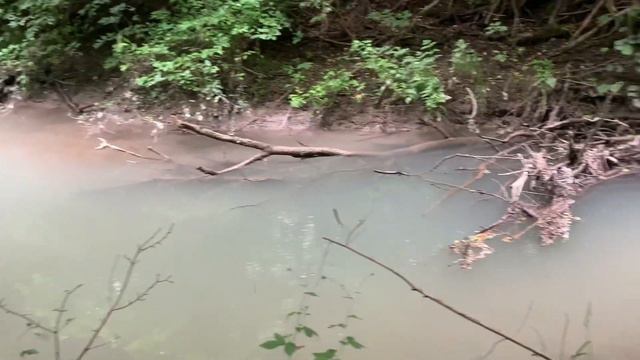 Моржи Анапы смотреть онлайн