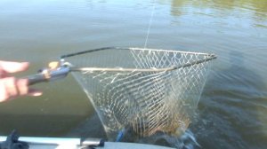 Рыбачим в начале августа,клев начался...