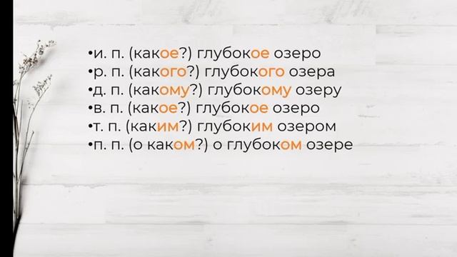 Склонение имён существительных. Род имён существительных. Курсы русского языка. Орыс тілі курсы