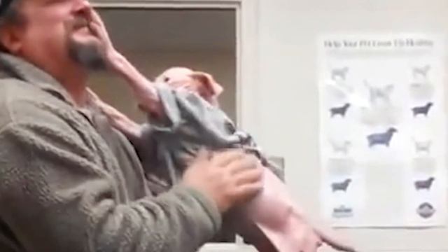 Щенок неожиданно набросился на мужчину, как только его увидел! смотреть онлайн