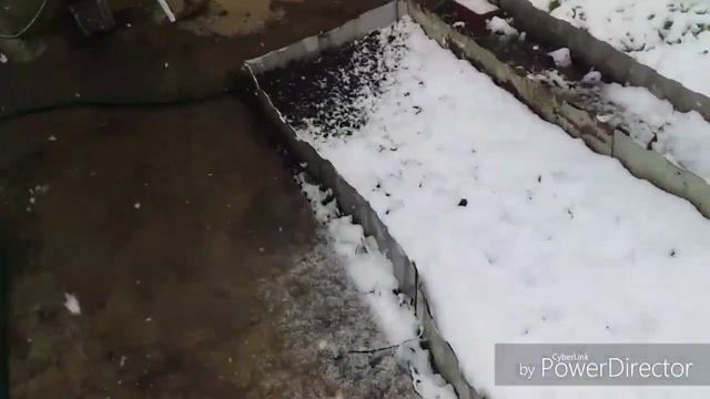 У нас в Краснодаре пошел снег/А была уже весна/Бройлеры растут смотреть онлайн