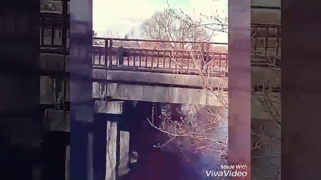 Луговое озеро)))) смотреть онлайн