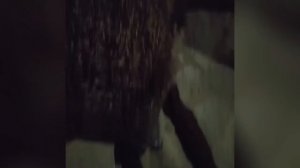 Увидеть ёжика во дворе или на участке. Народные приметы.