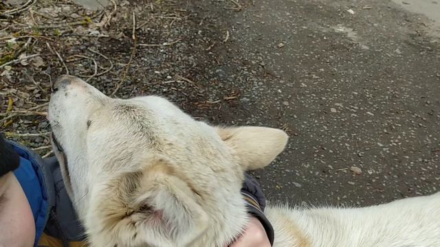 аха ха смотреть онлайн