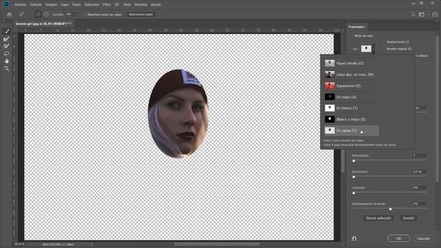 20. Seleccionar Y Aplicar Máscara (1) (Curso Básico De Photoshop CC)