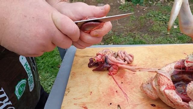 ЧЕРВИ В КУРАХ ! КАК НАЙТИ И ЧТО С НИМИ ДЕЛАТЬ . смотреть онлайн