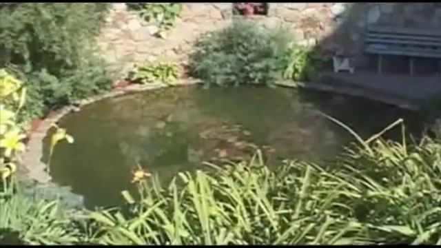 Райграс смотреть онлайн