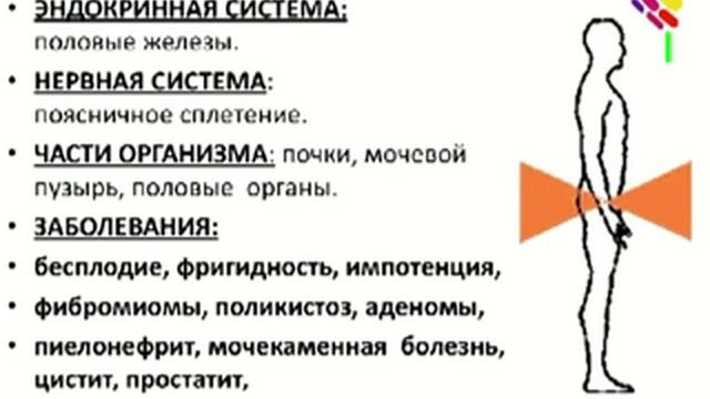 Здоровье! Николай Пейчев Энергоинформационные причины заболеваний смотреть онлайн