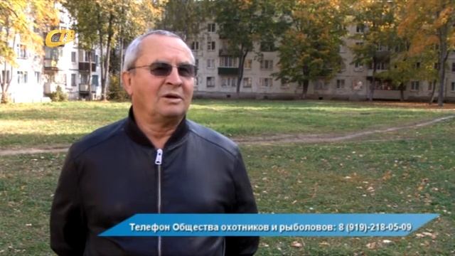 ПРИ ОБНАРУЖЕНИИ ДИКИХ ЖИВОТНЫХ ЗВОНИТЬ В ОБЩЕСТВО ОХОТНИКОВ смотреть онлайн
