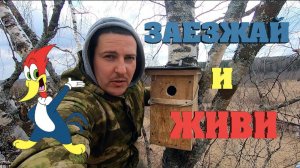 #15. Вопросы электрические. [Жизнь на своей земле]