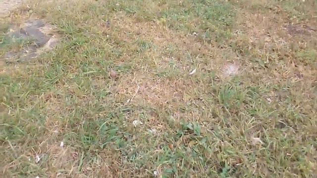 Что находится под балконами #2 смотреть онлайн