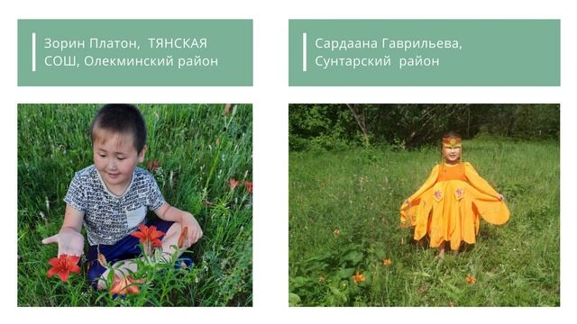 Сардаана   цветок счастья