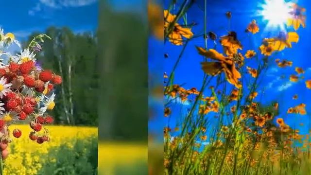 Лето красное - (группа Садко) смотреть онлайн