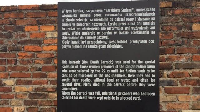 #7 Концентрационный лагерь и лагерь смерти Аушвиц и Аушвиц-Биркенау смотреть онлайн