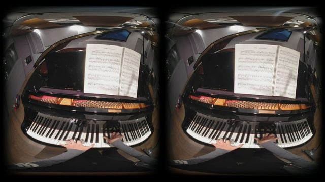 VR180 Piano Performer Perspective with Binaural Recording смотреть онлайн