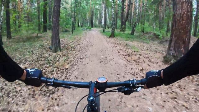 Скорость и выносливость. Скоростная работа на участке Strava. смотреть онлайн