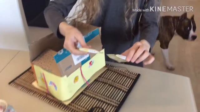 Празднуем день рождение песиков Лотоса и Флоя 2 часть ! Их подарок 💝 смотреть онлайн