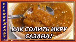 Икра сазана, как посолить икру речной рыбы, просто и вкусно!