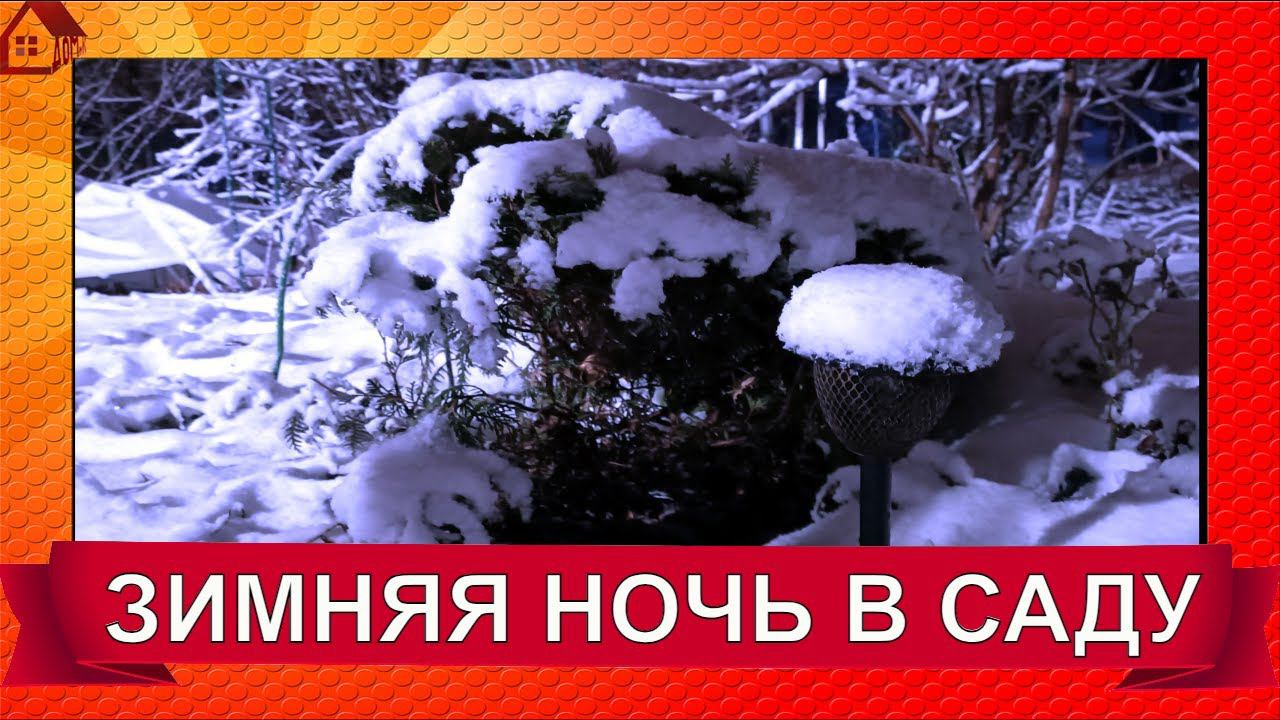 ЗИМНЯЯ НОЧЬ прогулка по саду в феврале 2024/ Winter fairytale night смотреть онлайн