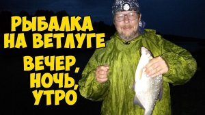 РЫБАЛКА с НОЧЁВКОЙ на Ветлуге. Густера, лещ, язь на ФИДЕР.