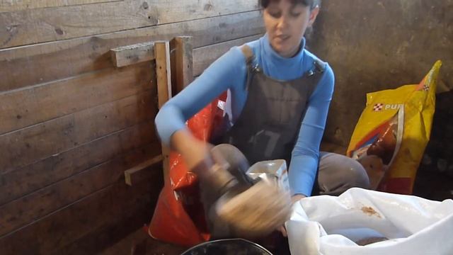 Мой эксперимент." Биолатик"- запуск.Покупка китайских бактерий для навоза. смотреть онлайн