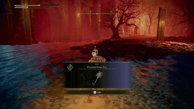 ELDEN RING | How To Open The Chest in Raya Lucaria Grand Library & Where To Use Discarded Palace Ke смотреть онлайн